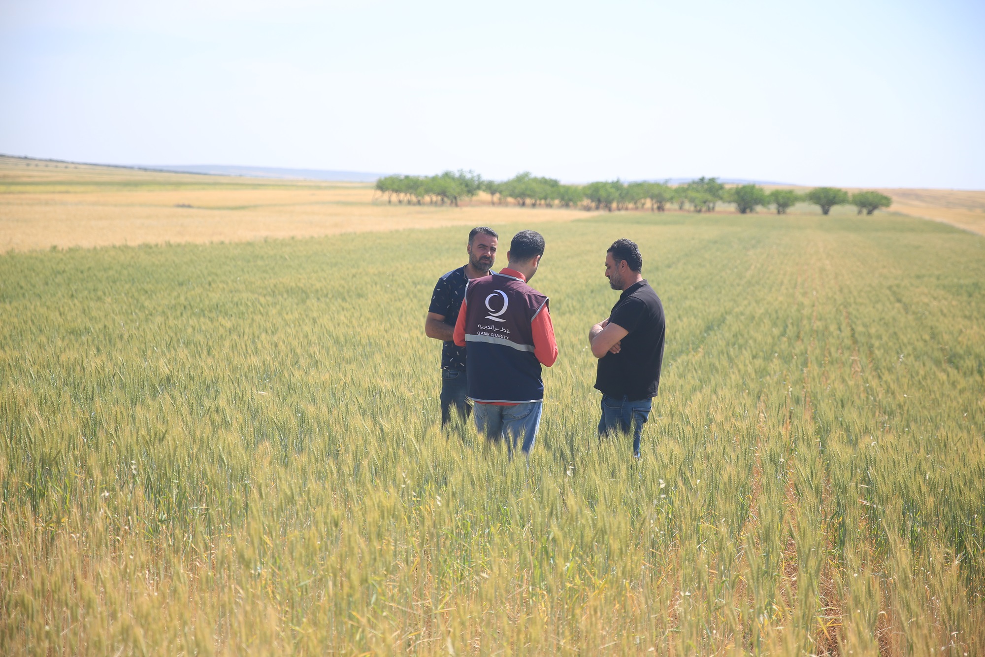  Nurturing Sustainability: Qatar Charity's Bread Production Initiative in Northern Syria